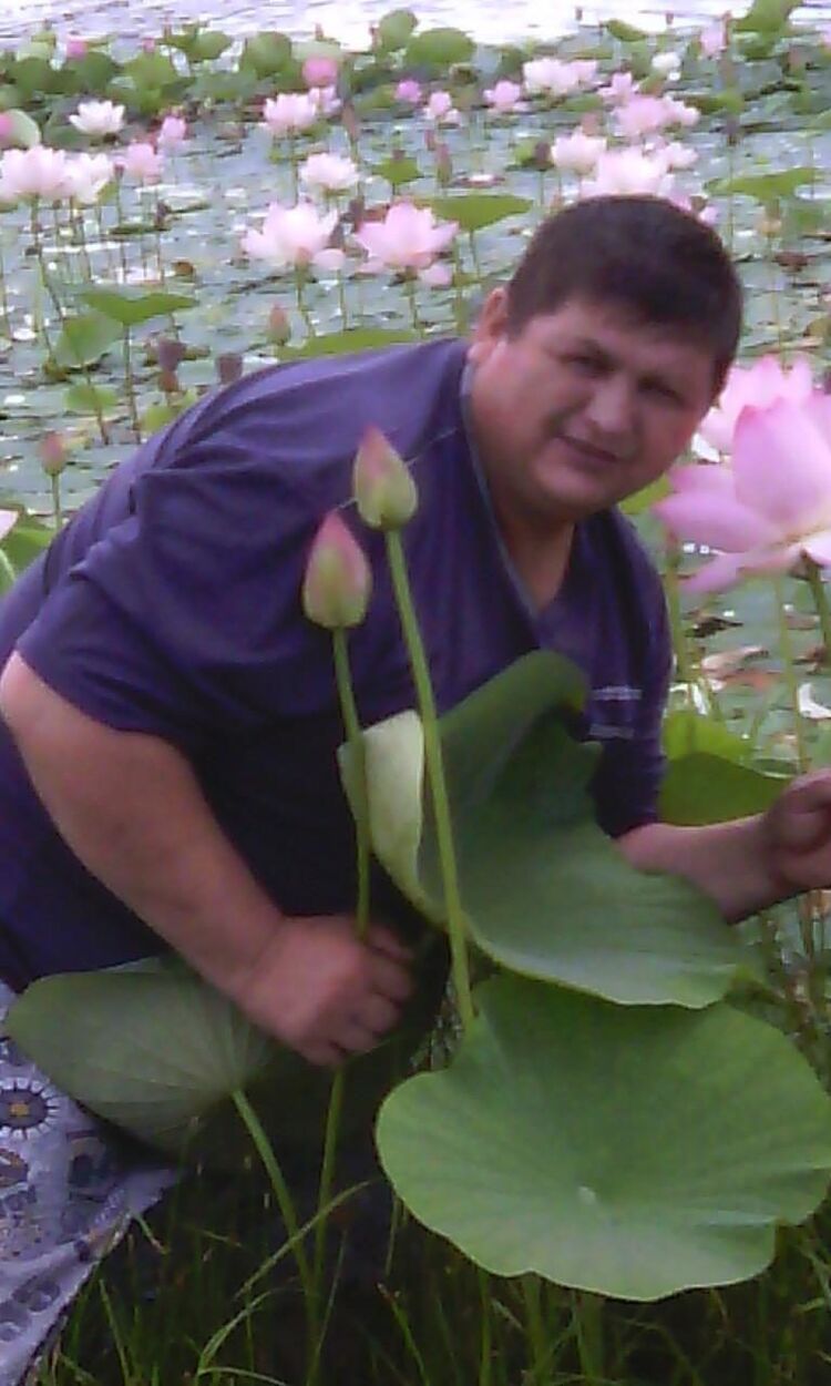  ,   , 56 ,   ,   , c , 