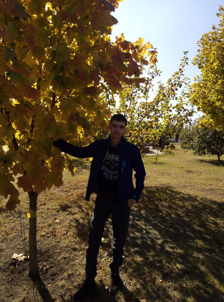 ���������� ������ �����, ���� ������� ����, 40 ���, ������������ ��� ����� � ���������, c�������� ���������