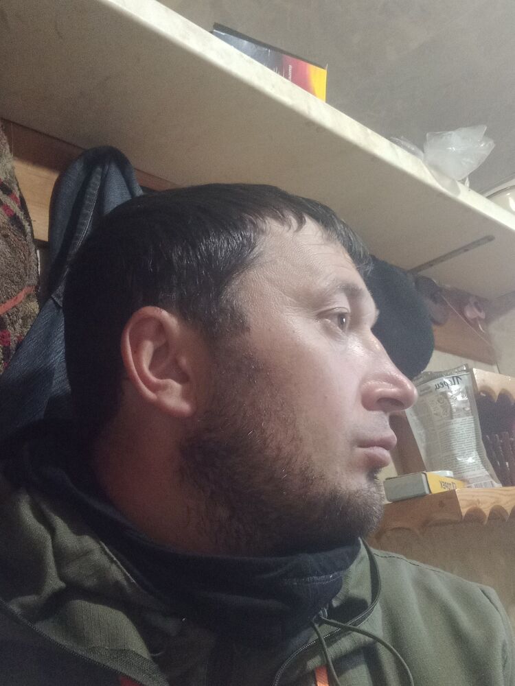 ���� 31017887 ������� �������, 38 ���, ���� ���������� � �����������