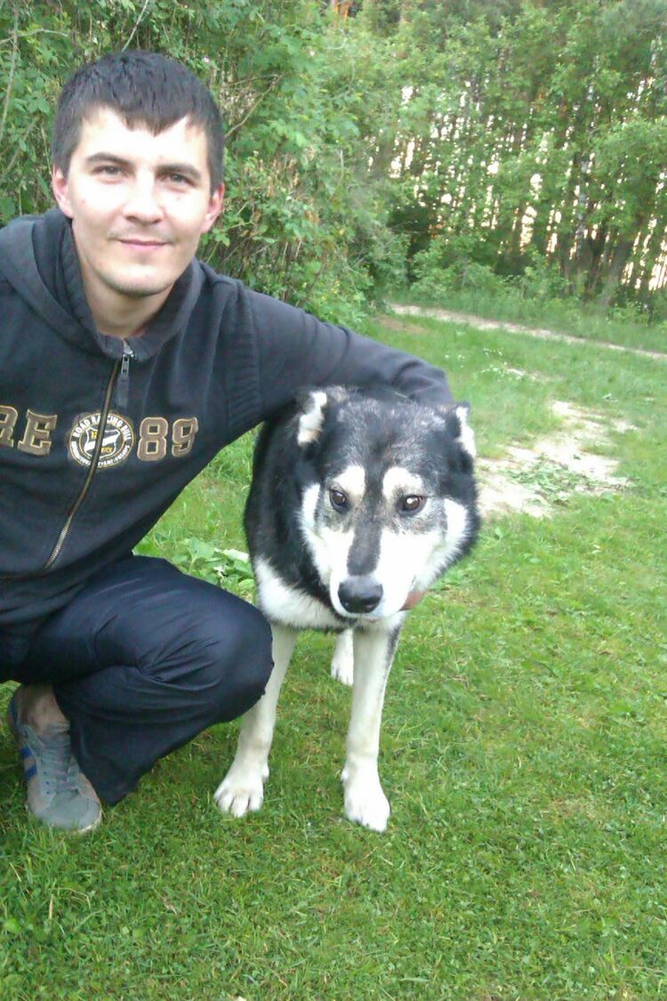 ���������� �����, ���� ������� Alexey, 42 ����, ������������ ��� ������, ����� � ���������, c�������� ���������, ���������