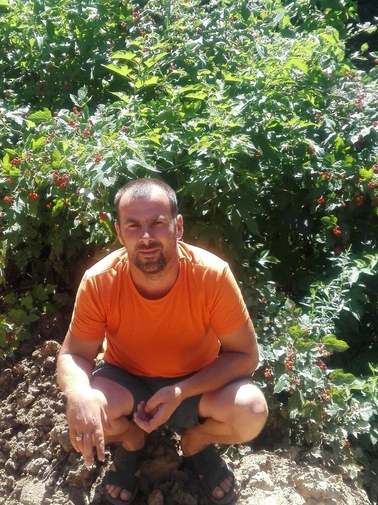  ,   , 43 ,   
