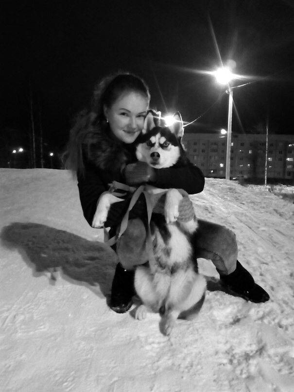 ���������� ������, ���� ������� ������, 36 ���, ������������ ��� ������, ����� � ���������, c�������� ���������