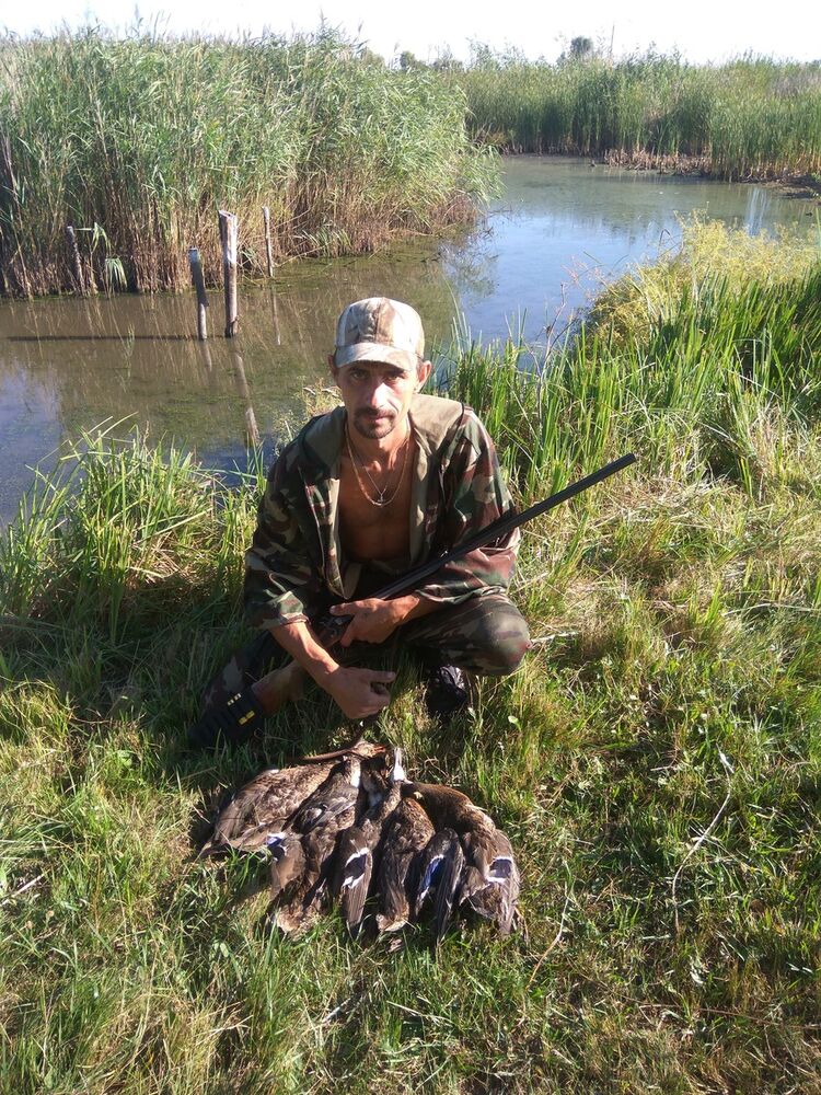 ���������� ���������, ���� ������� ����, 43 ����, ������������ ��� ������, ����� � ���������, c�������� ���������