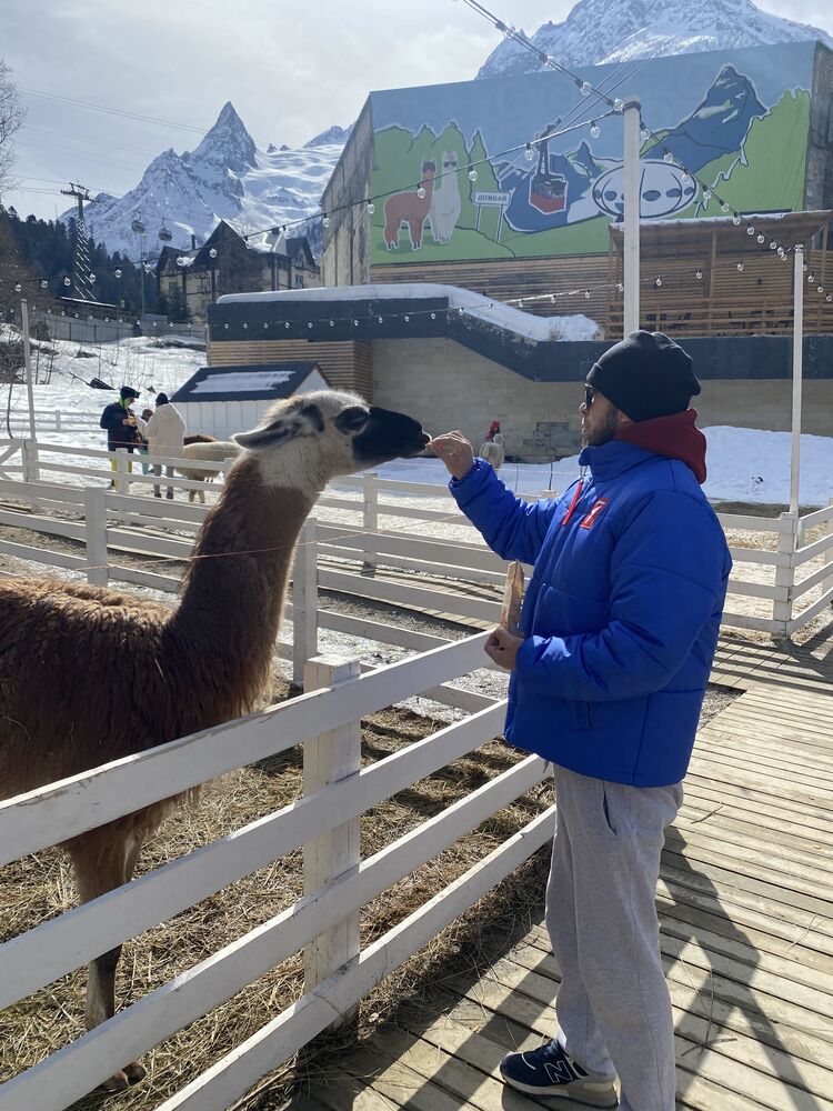 ���������� ������, ���� ������� �������, 35 ���, ������������ ��� ������