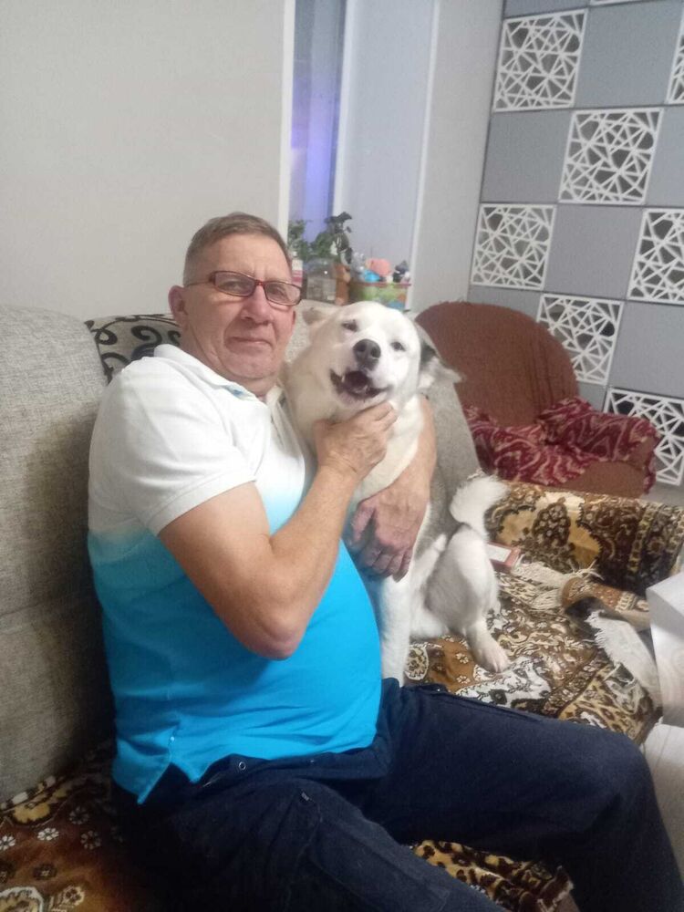 ���� 50534607 ������� ������, 50 ���, ���� ���������� � ������������