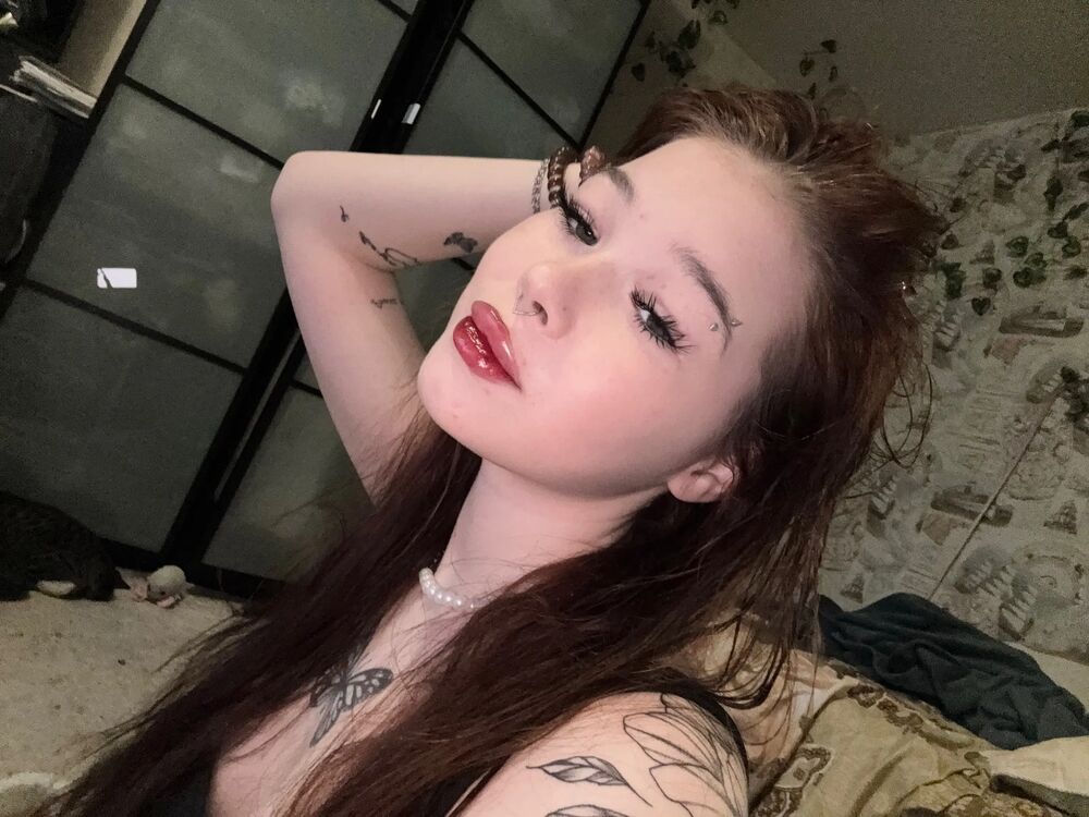 ���� 49591827 ������� ���, 20 ���, ���� ���������� � �����-����������