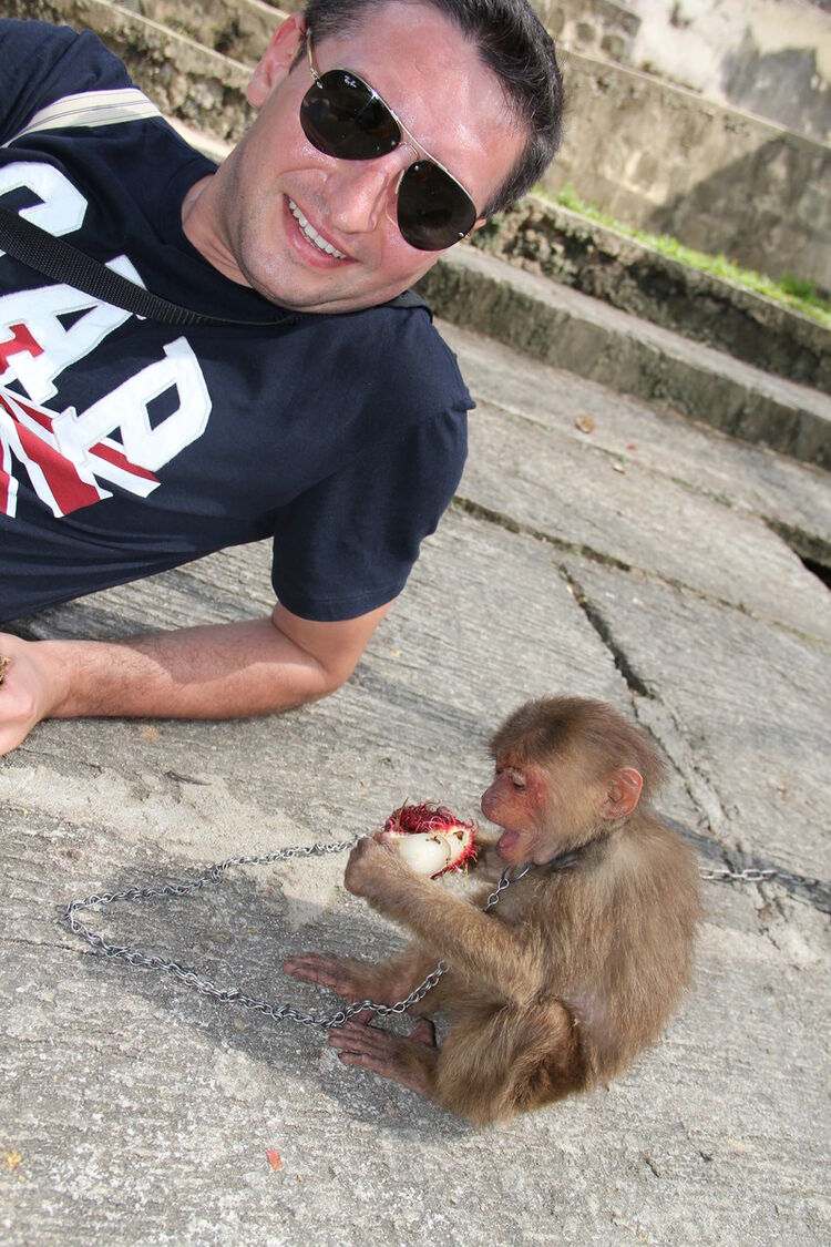 ���� 8812137 ������� �����, 47 ���, ���� ���������� � ������