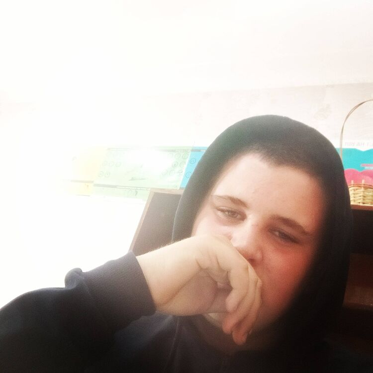  24021517  , 22 ,    