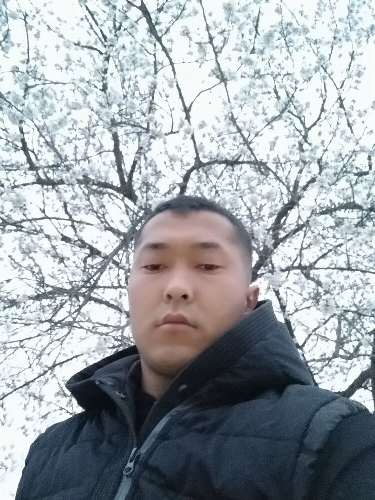  15657837  ALi nematov, 37 ,    