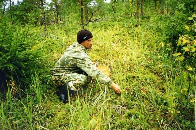 ���� 17785487 ������� ������, 68 ���, ���� ���������� � �����-����������