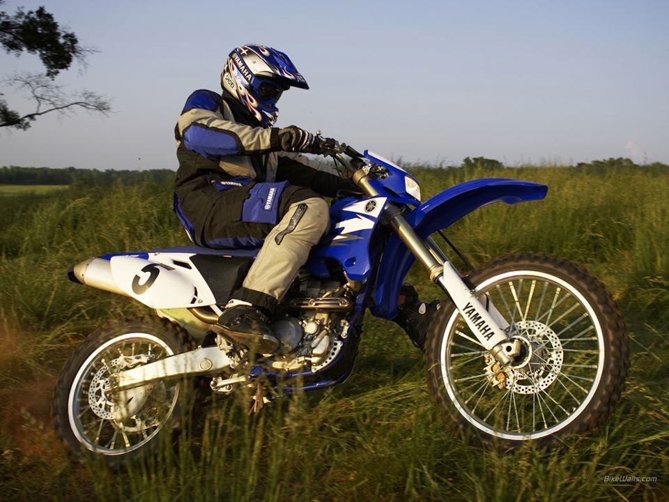  5142587  Denis, 31 ,    