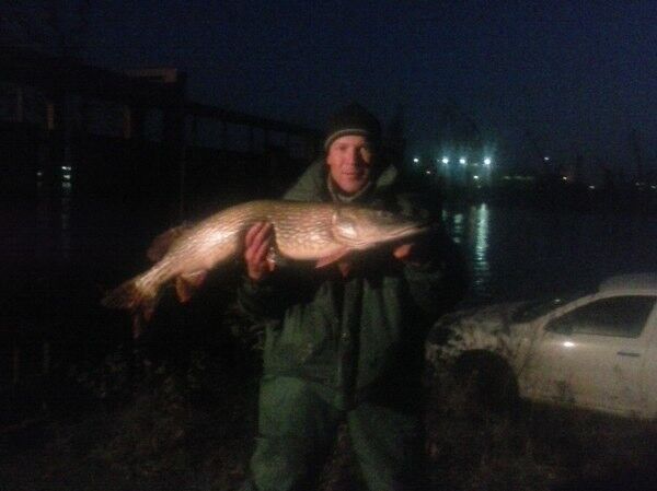 ���� 11197457 ������� ����, 46 ���, ���� ���������� � ������������