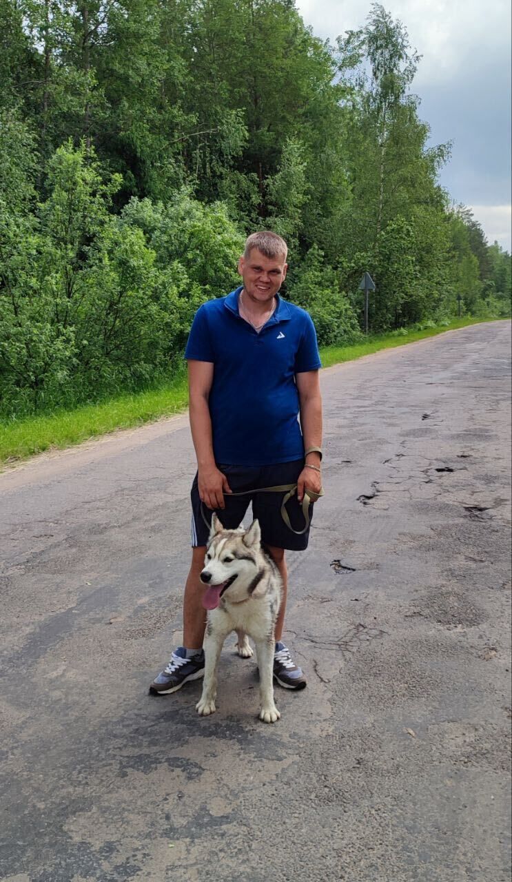 ���� 56115137 ������� �����, 33 ����, ���� ���������� � �������