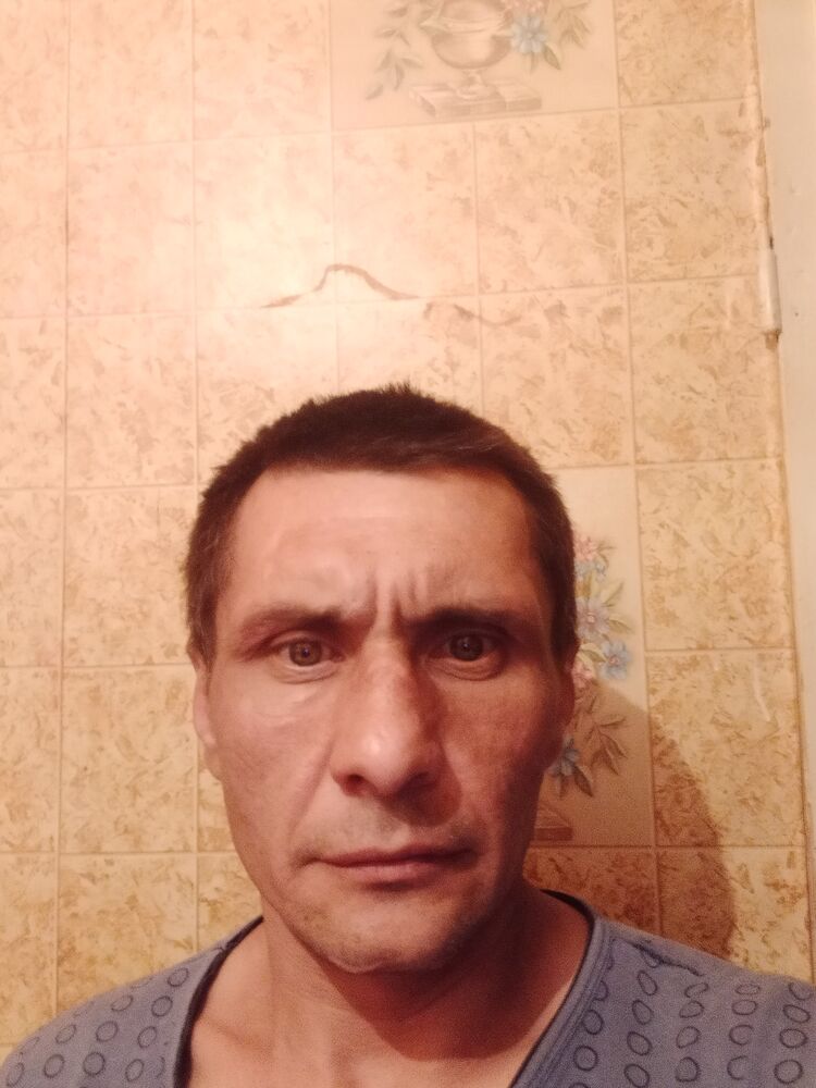  23173677  , 43 ,    