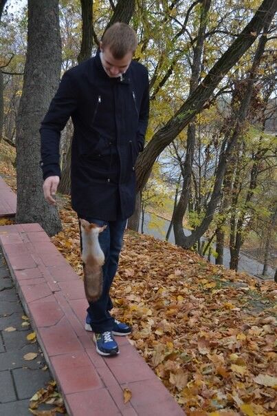 ���������� ������, ���� ������� ���������, 31 ���, ������������ 