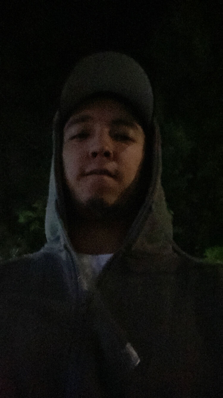  36688117  Nikoob, 26 ,    