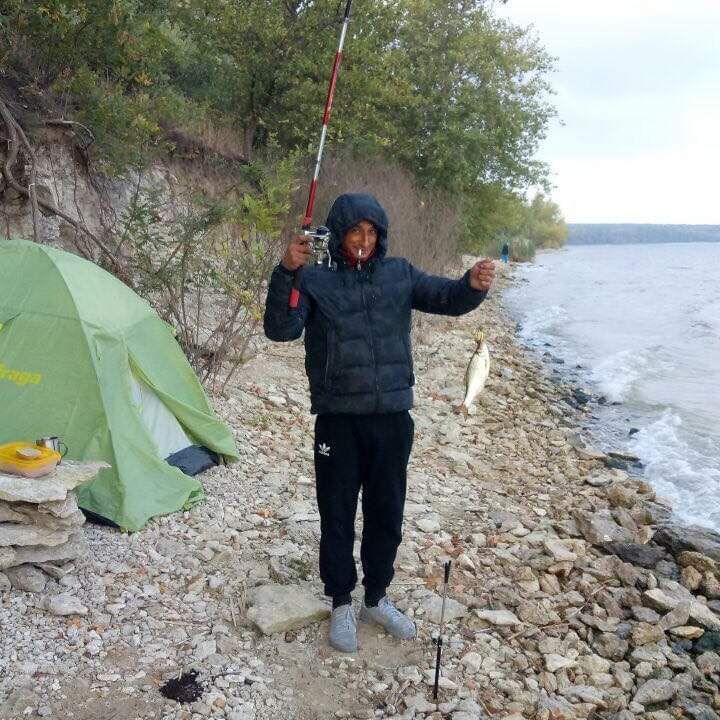 ���� 41856247 ������� �����, 35 ���, ���� ���������� � �����