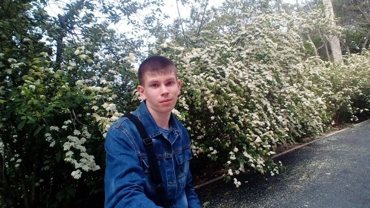 ���������� �����������, ���� ����� �����, 22 ����, ������������ ��� ������, ����� � ���������