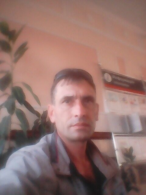  10033677  , 48 ,    
