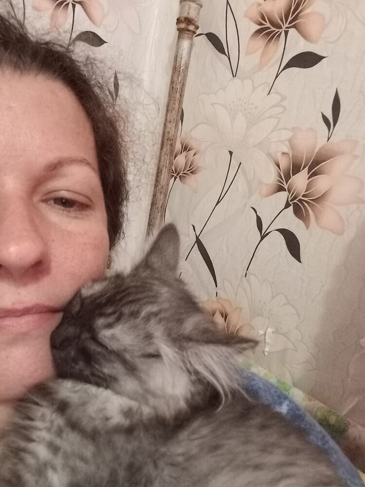  ,   , 43 ,   