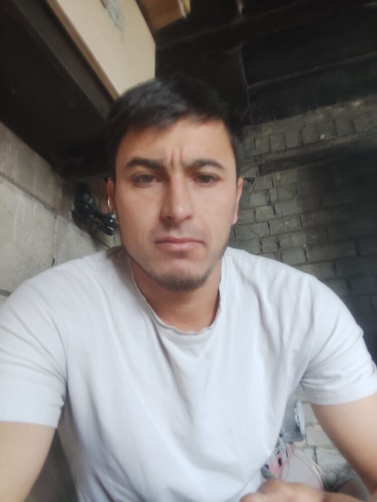  42169007  , 33 ,    