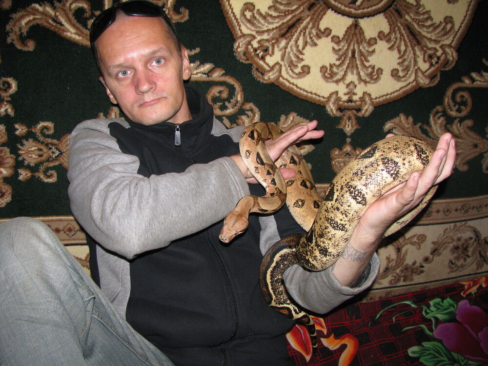  14827517  Andrey, 49 ,    Al Ghardaqah