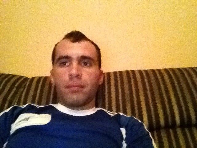 ���� 4441177 ������� Koko, 41 ���, ���� ���������� � �������