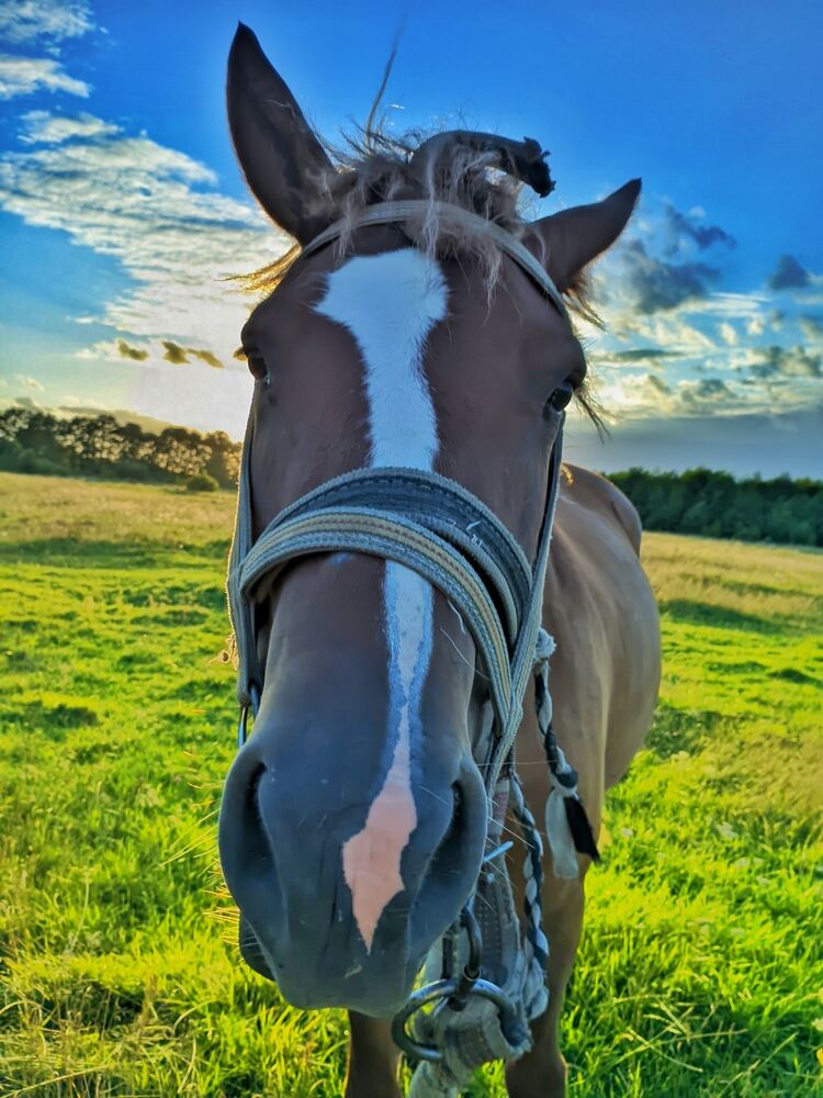 ���������� ����, ���� ����� ���, 22 ����, ������������ ��� ������, ����� � ���������, c�������� ���������, ���������