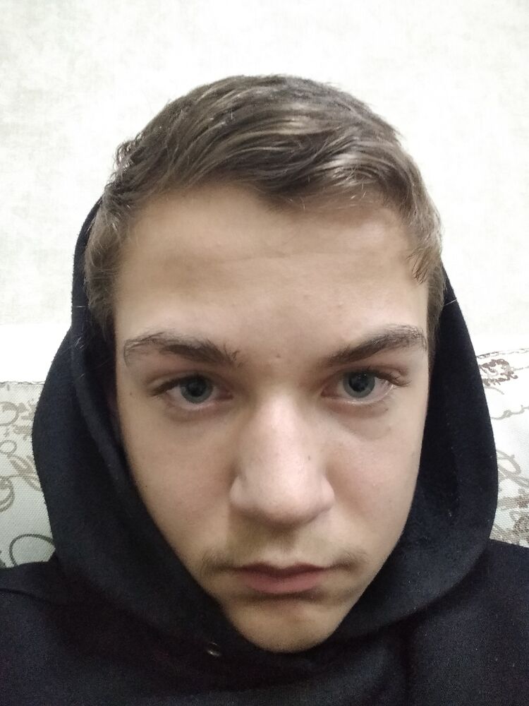  31006837  , 24 ,    