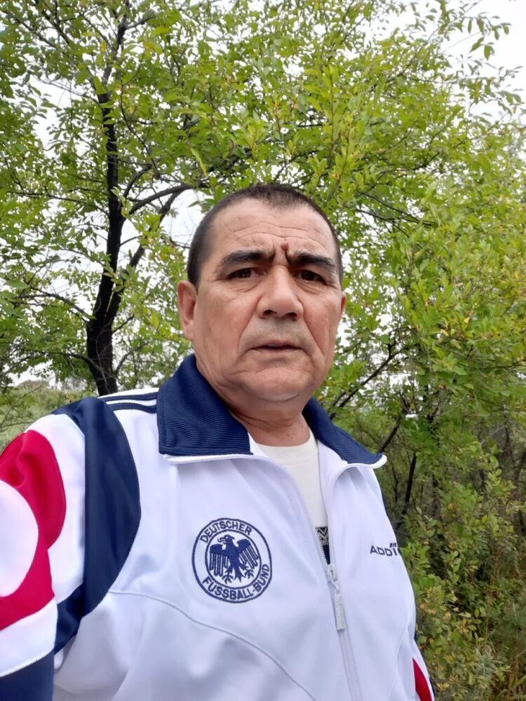  31035677  , 62 ,    