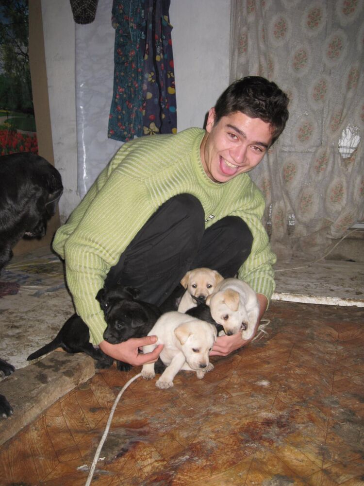 ���������� �������, ���� ������� ������, 36 ���, ������������ ��� ������, ����� � ���������