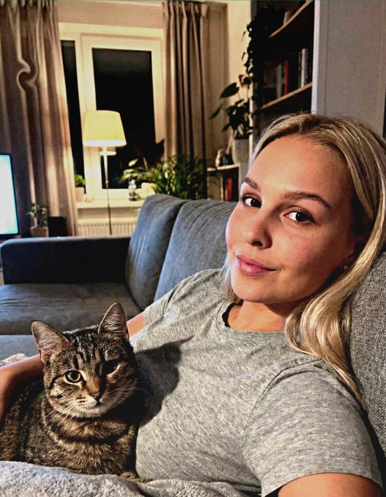 ���������� ��������, ���� ������� ���������, 29 ���, ������������ ��� ������, ����� � ���������