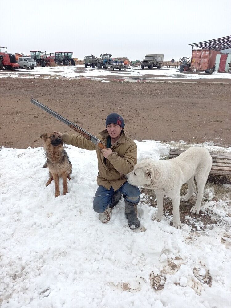 ���������� ������, ���� ������� �����������, 36 ���, ������������ ��� ������, ����� � ���������, c�������� ���������