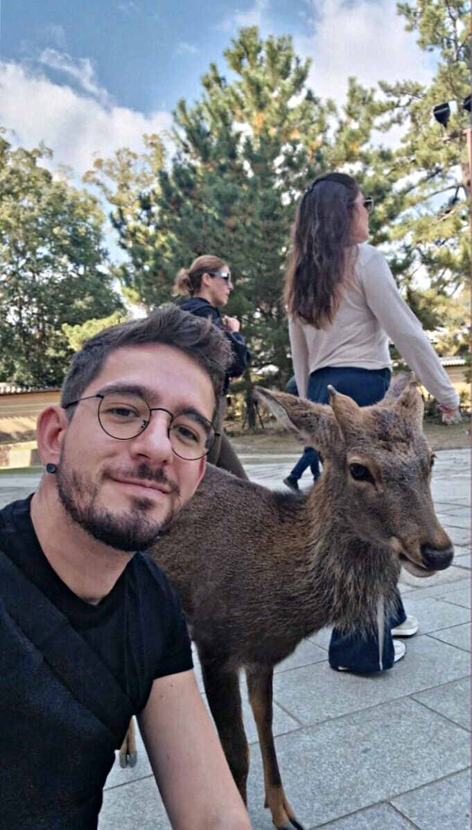 ���� 55936217 ������� �������, 31 ���, ���� ���������� � ������ ���������