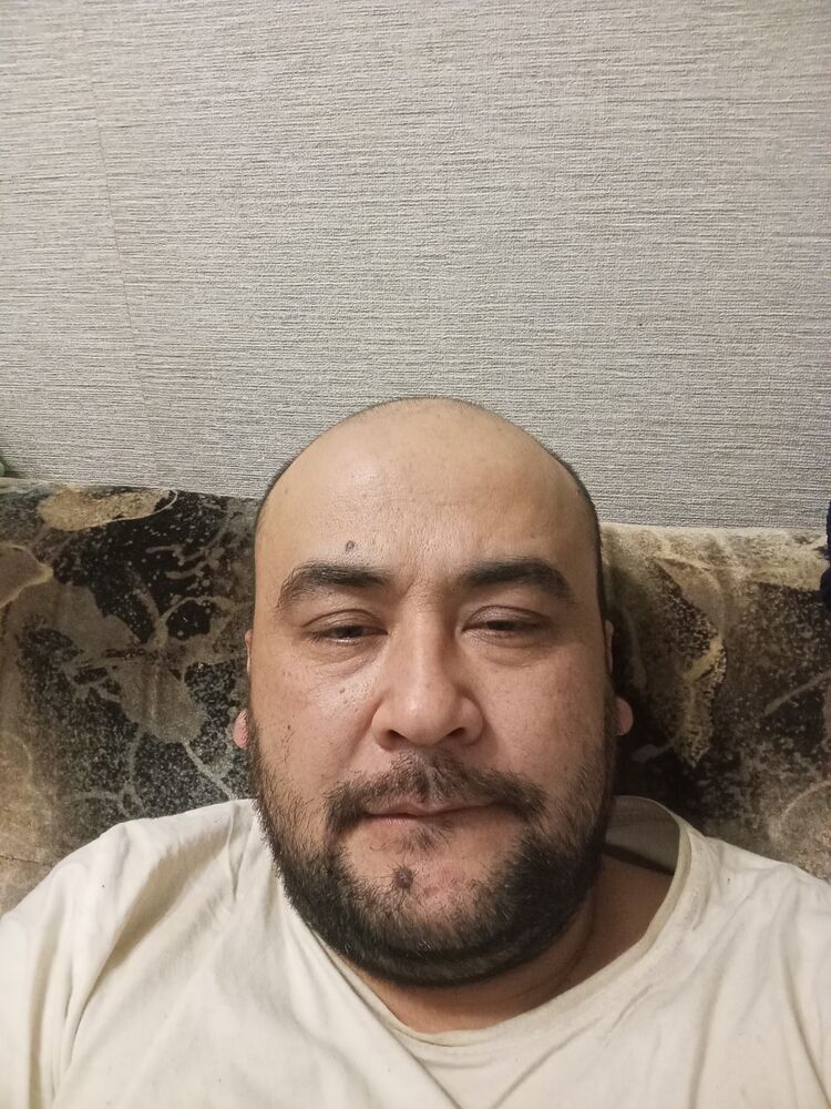  48615957  , 36 ,    