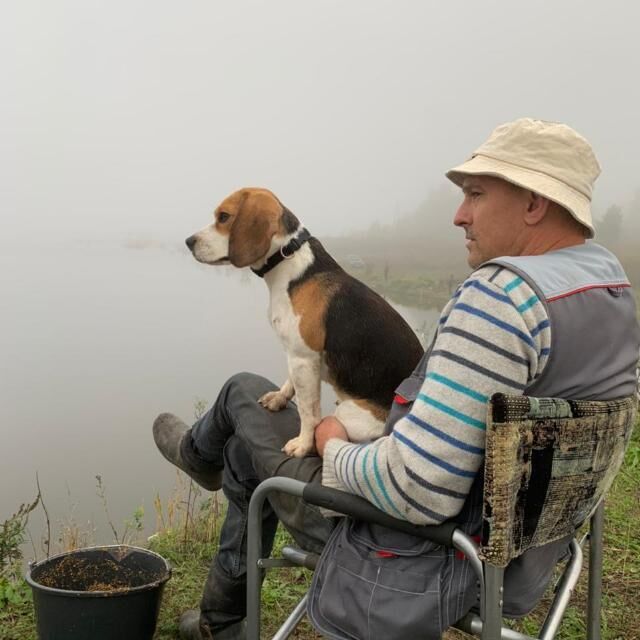 ���� 49406287 ������� ���������, 55 ���, ���� ���������� � �����