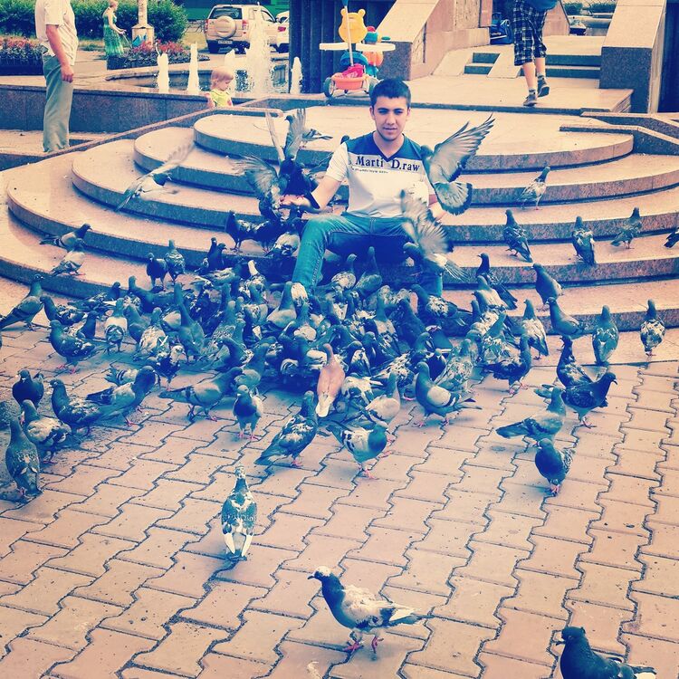 ���������� ����������, ���� ������� 89607541002, 31 ���, ������������ ��� ����� � ���������, c�������� ���������