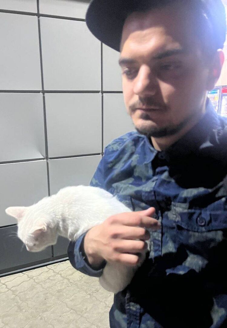 ���������� �������, ���� ������� �������, 29 ���, ������������ ��� ������, ����� � ���������