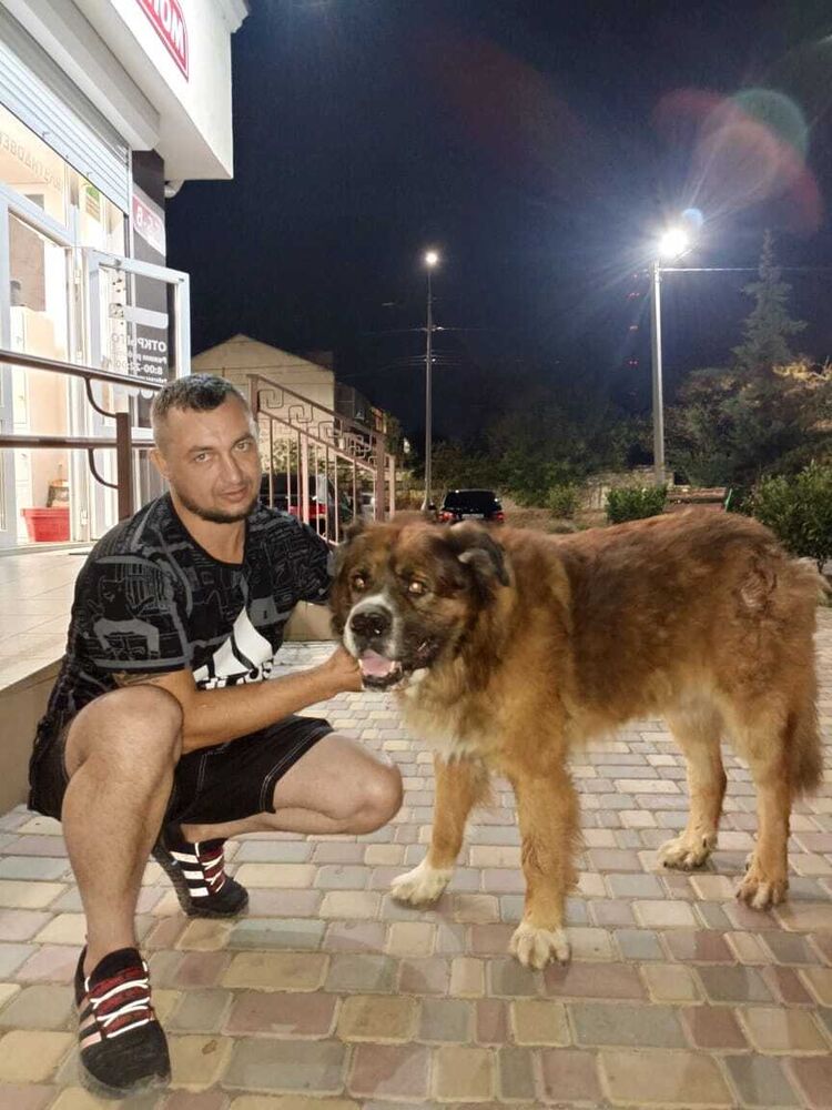 ���������� �����������, ���� ������� ������, 40 ���, ������������ ��� c�������� ���������, ���������