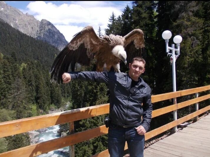 ���������� �������, ���� ������� �������, 41 ���, ������������ ��� ������, ����� � ���������