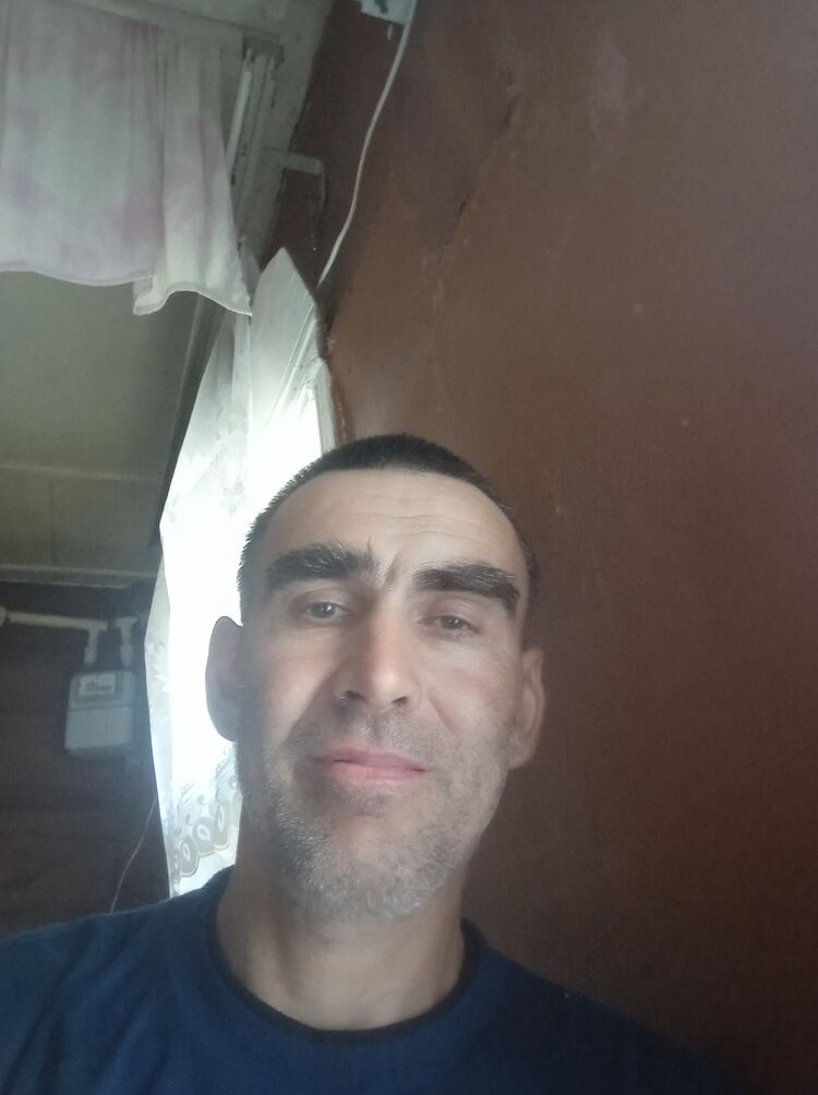  43662547  , 50 ,    