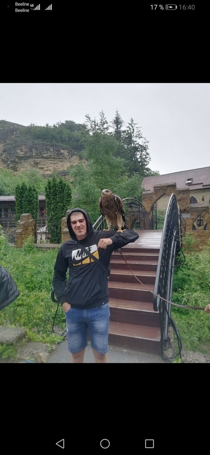 ���� 28493597 ������� ������, 28 ���, ���� ���������� � ����������