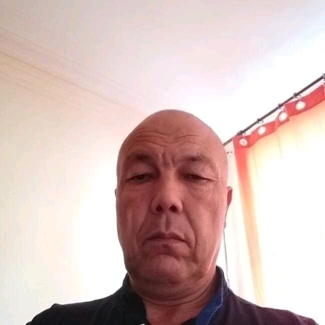  23726397  , 60 ,    -