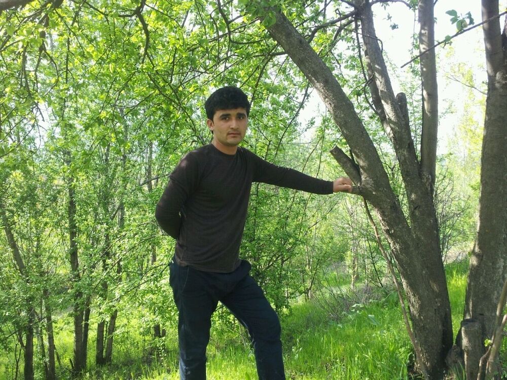 ���������� �������, ���� ������� ������, 33 ����, ������������ ��� ������, ����� � ���������, c�������� ���������, ���������