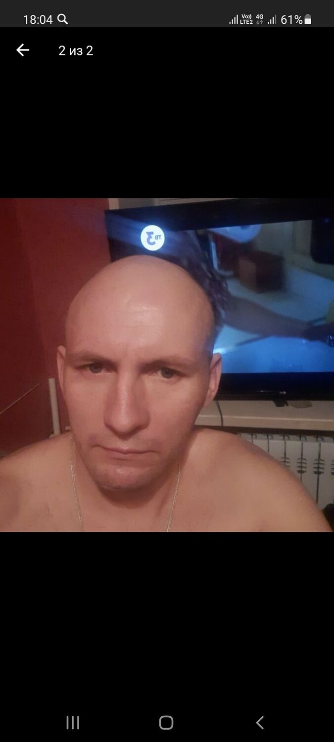  24610067  , 40 ,    