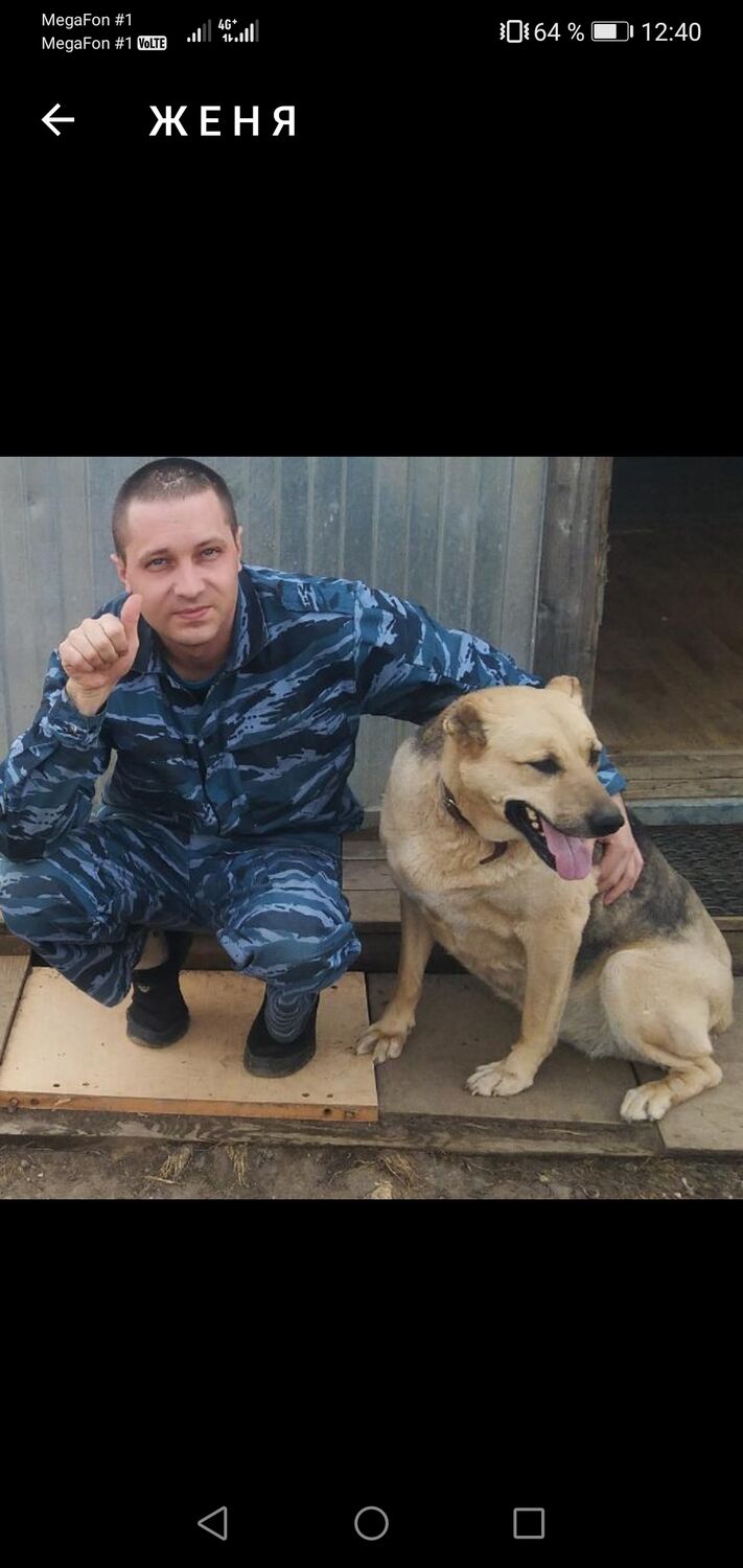 ���������� ���������, ���� ������� �������, 38 ���, ������������ ��� ������, ����� � ���������