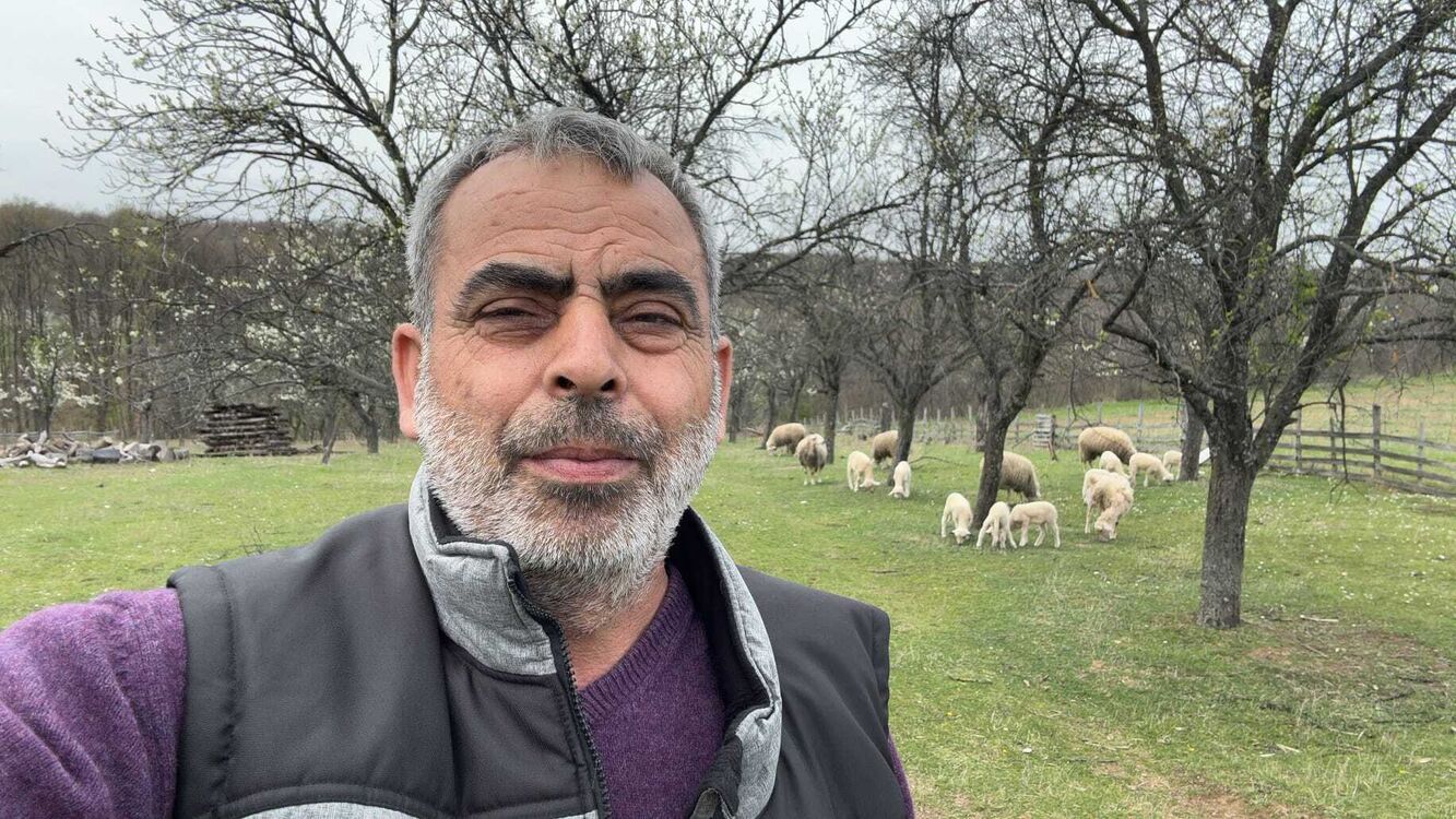  46354557  Mehmet, 50 ,    