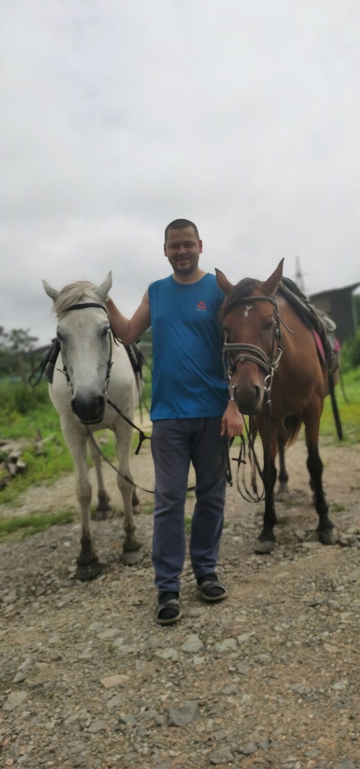 ���������� �����������, ���� ������� �����, 37 ���, ������������ ��� ������, ����� � ���������, c�������� ���������