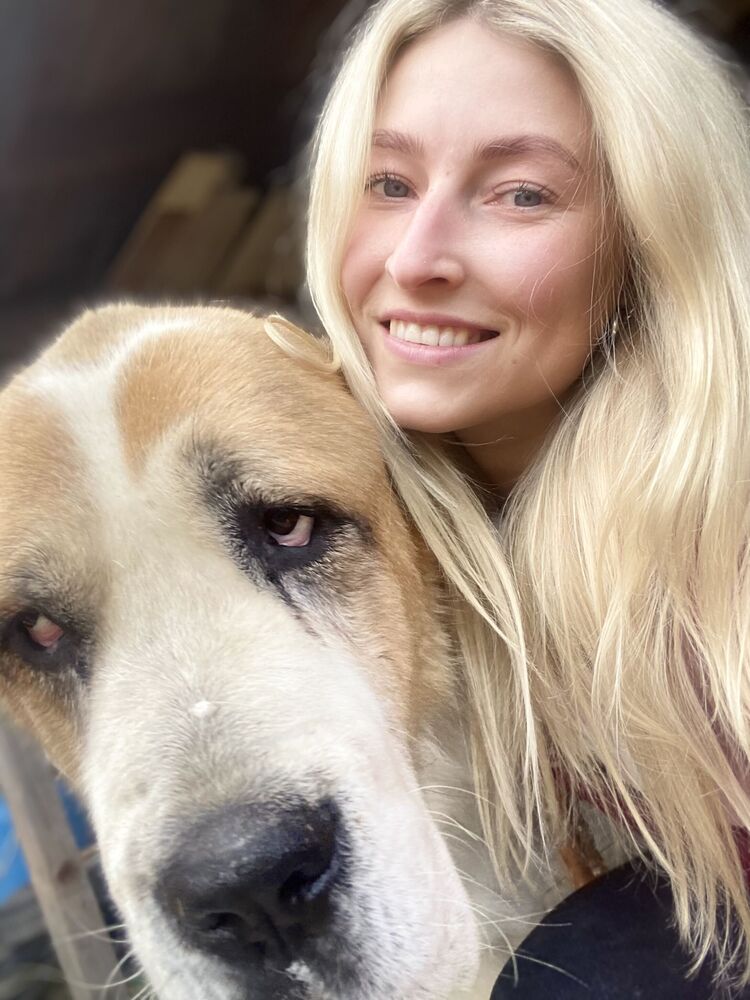 ���������� �����, ���� ������� �����, 36 ���, ������������ ��� ����� � ���������, c�������� ���������