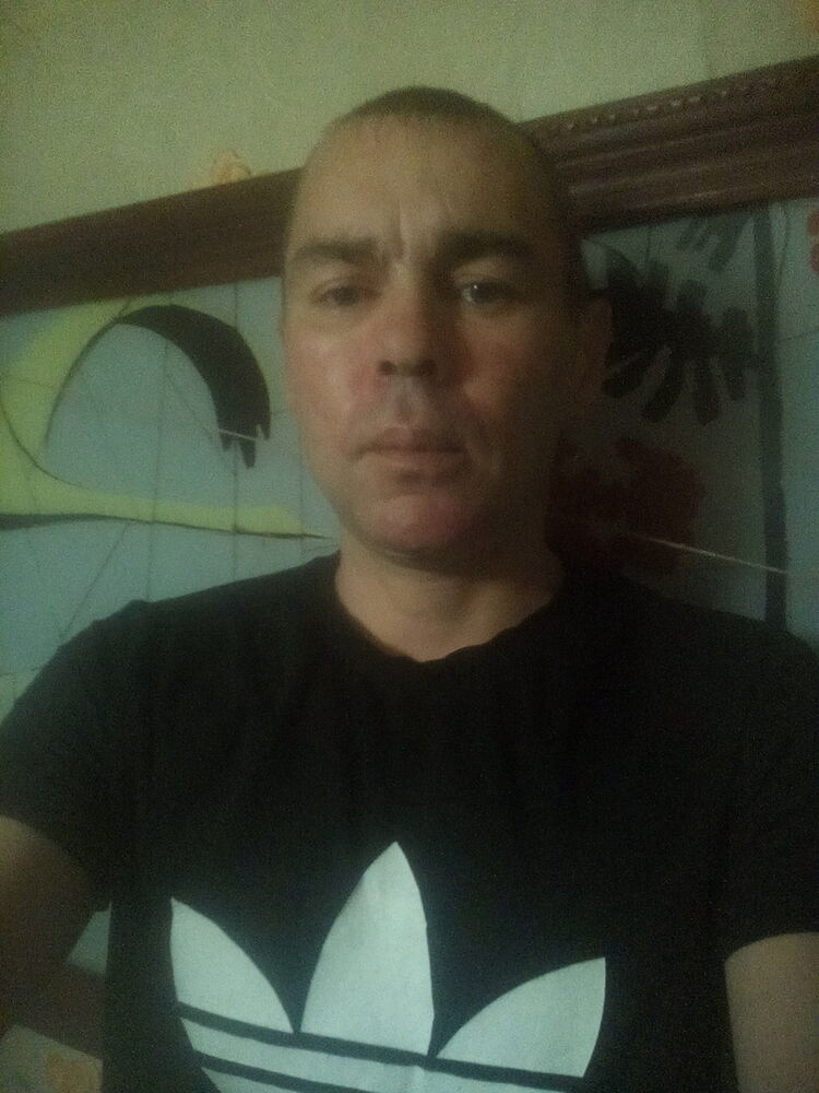  19657827  , 44 ,    